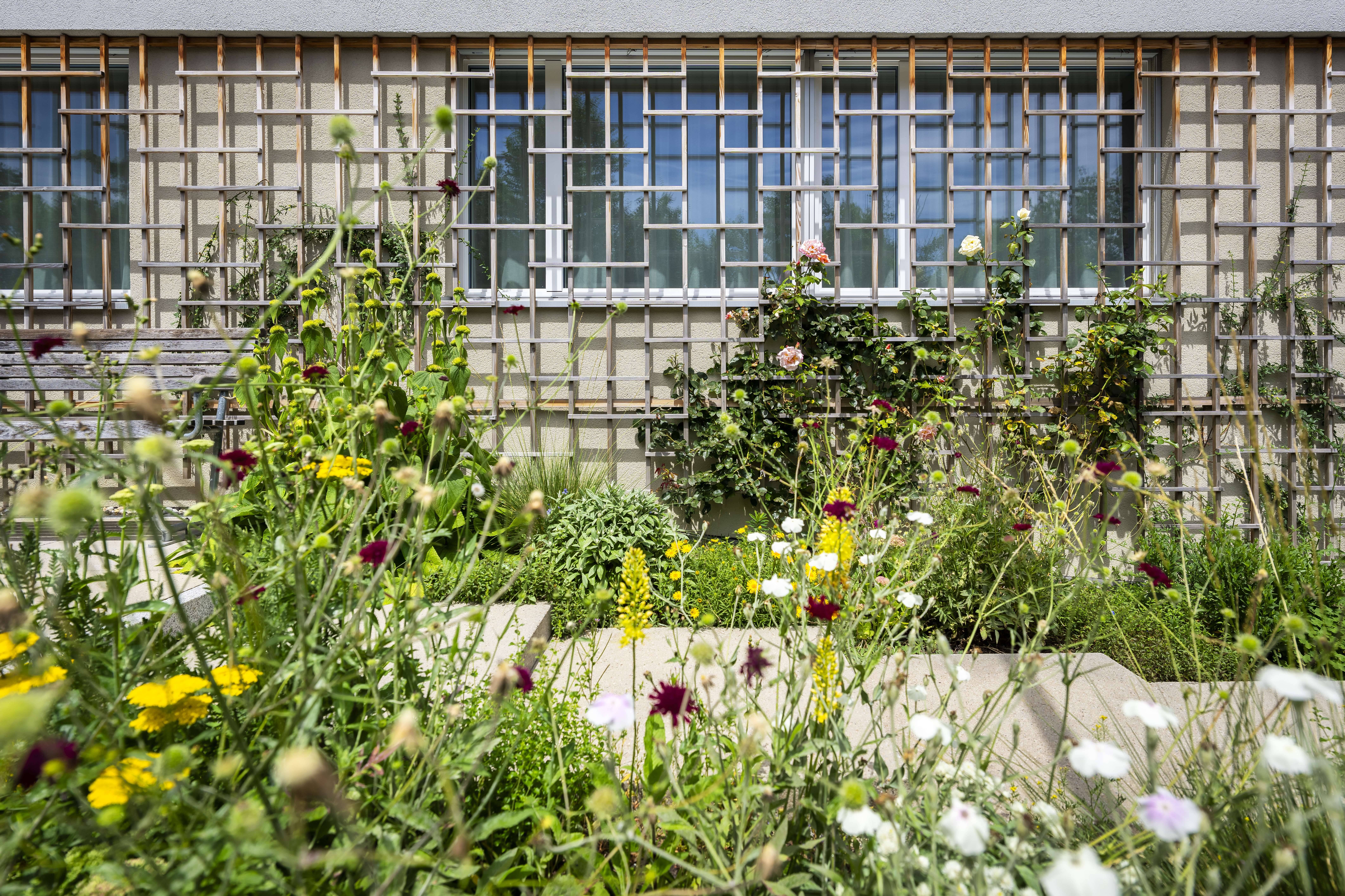 Sommerlicher Wärmeschutz (online)