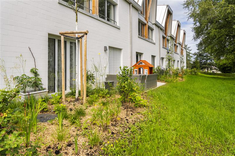 Minergie – Anforderungen verstehen, Nachweise erstellen